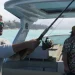 GTA 6 Memperkenalkan 170 Satwa Liar Termasuk Hewan Baru yang Belum Pernah Ada